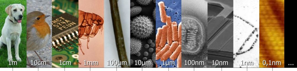 Top 4 Einsteiger Mikroskope Im Vergleich Einsteiger Org